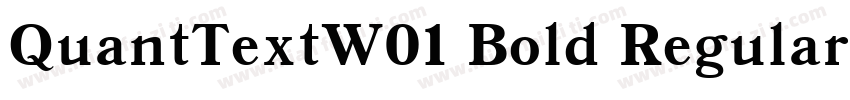 QuantTextW01 Bold Regular字体转换